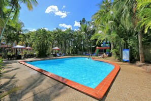 Una piscina rodeada de palmeras y zonas a la sombra.