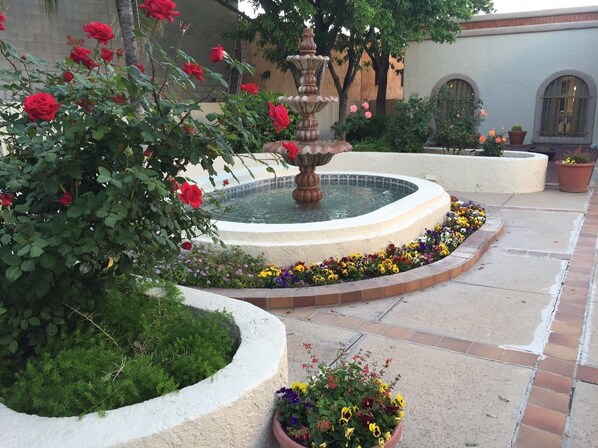 Fountain