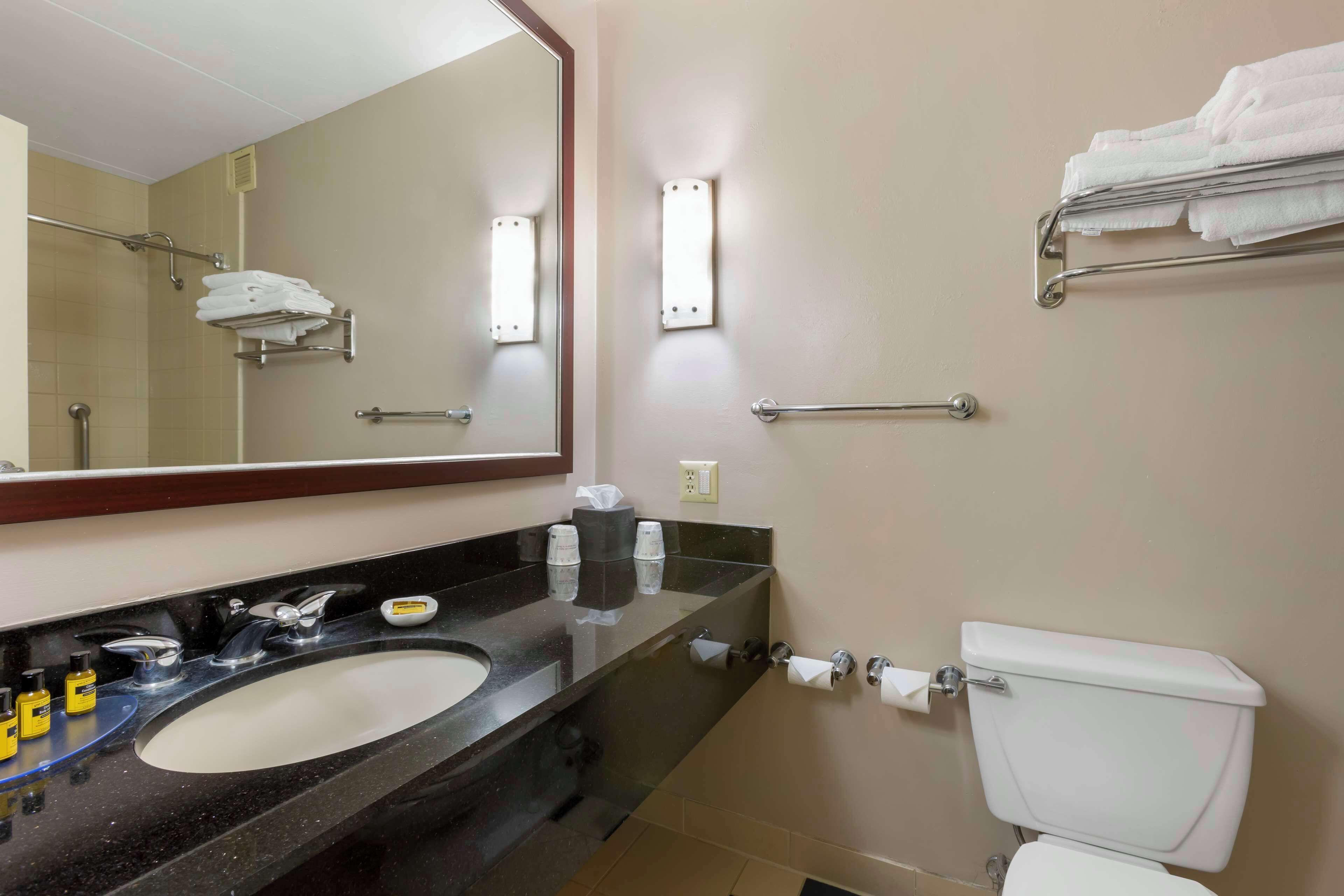 A bathroom with a double sink, a toilet, a towel rack, and a mirror.