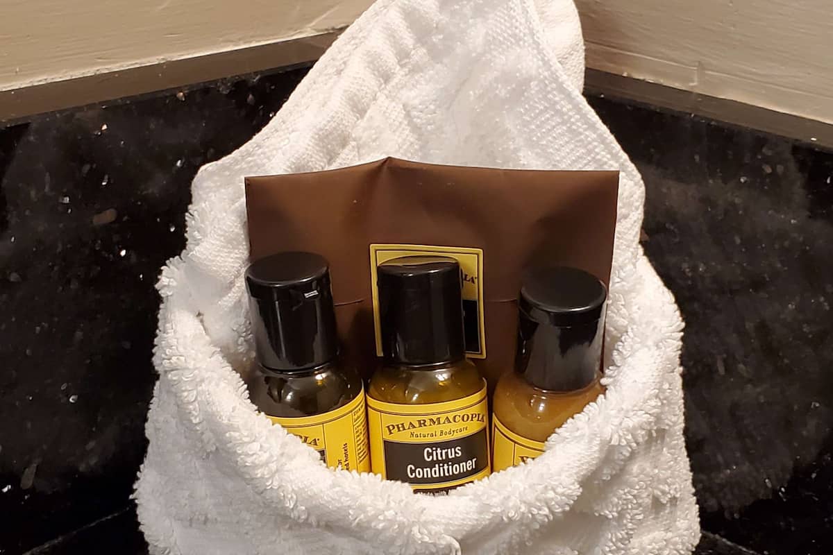 combined shower/bathtub, free toiletries, hair dryer, towels