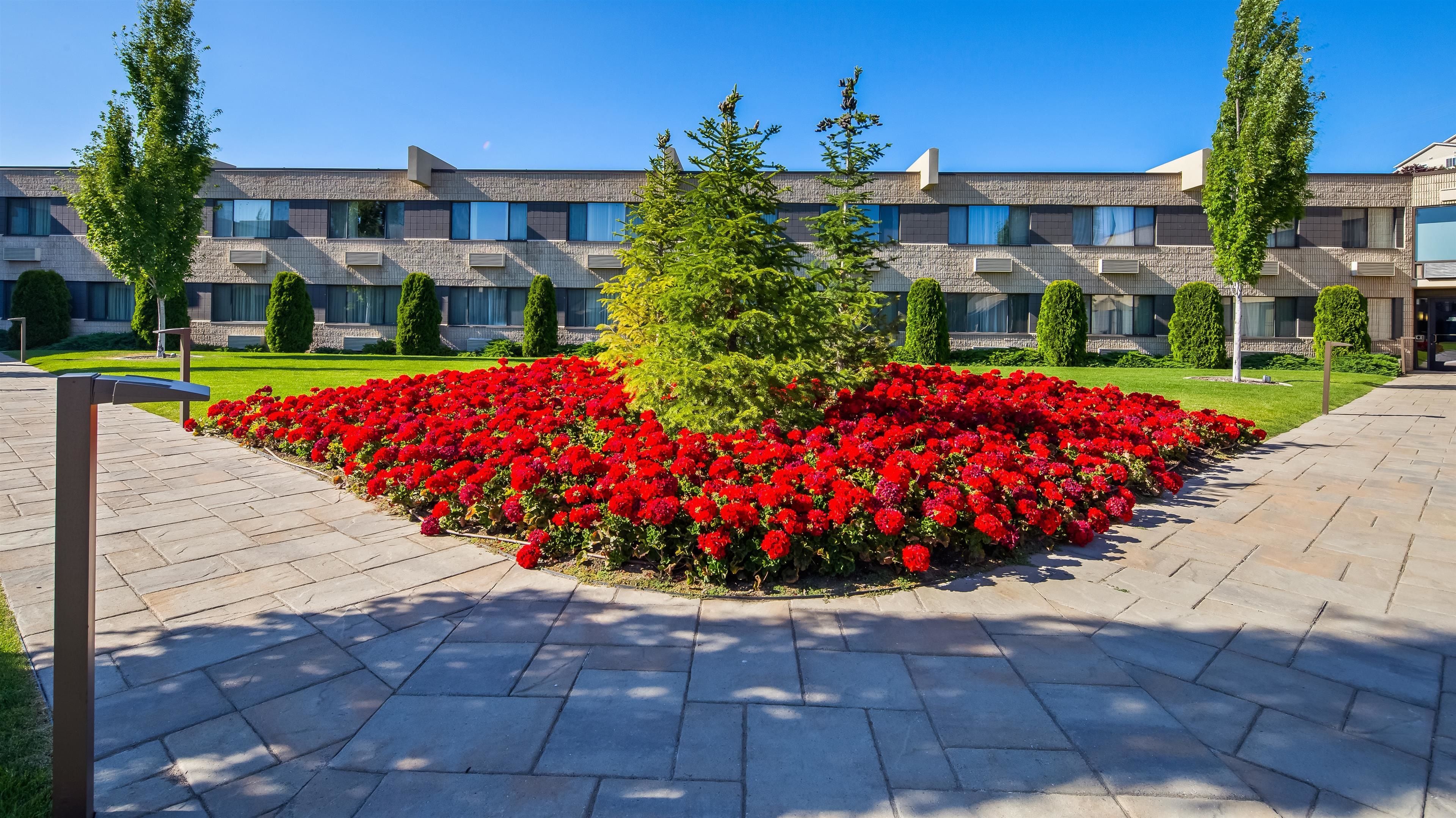 suite, 1 king bed, non smoking | view from room
