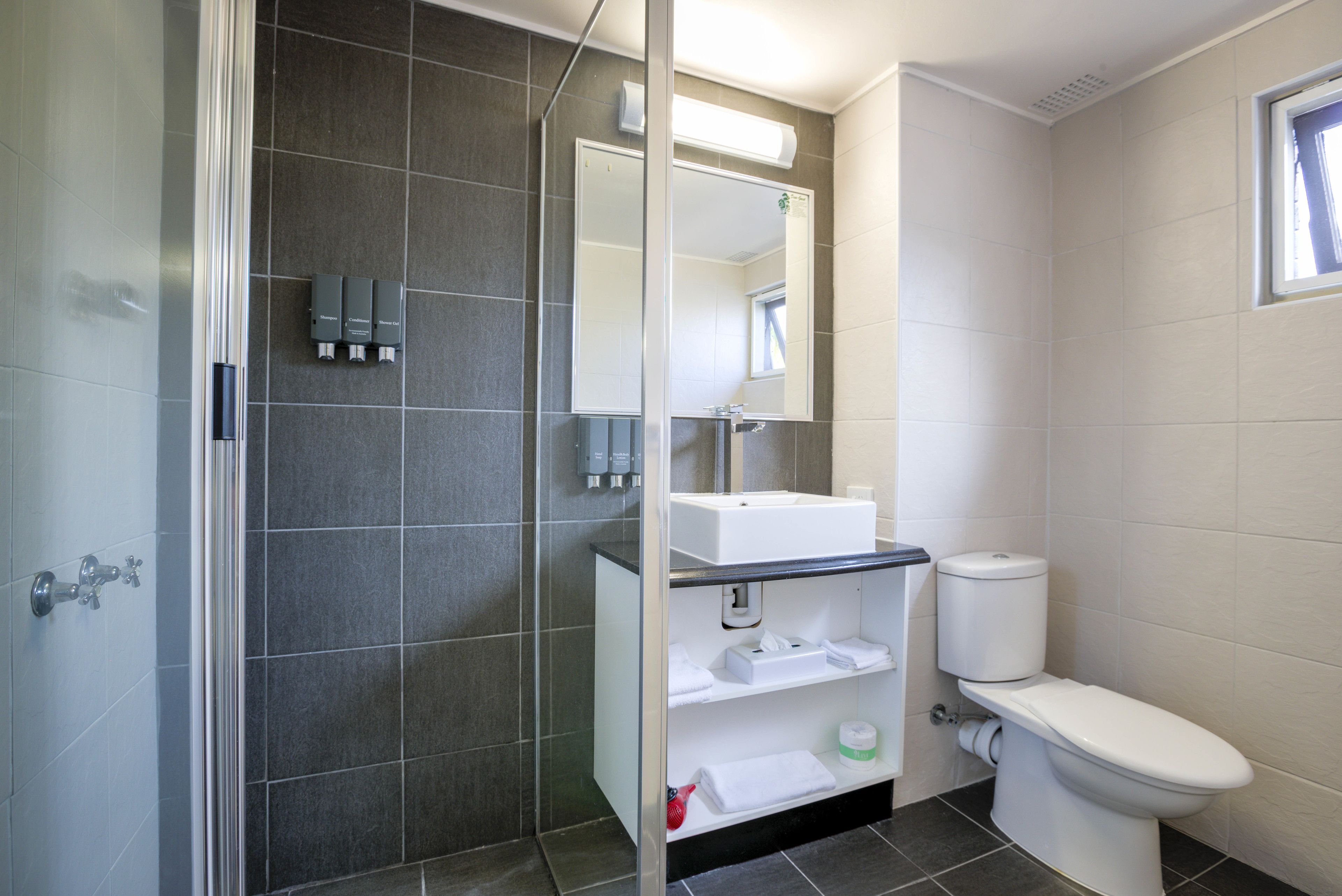 shower, free toiletries, hair dryer, towels