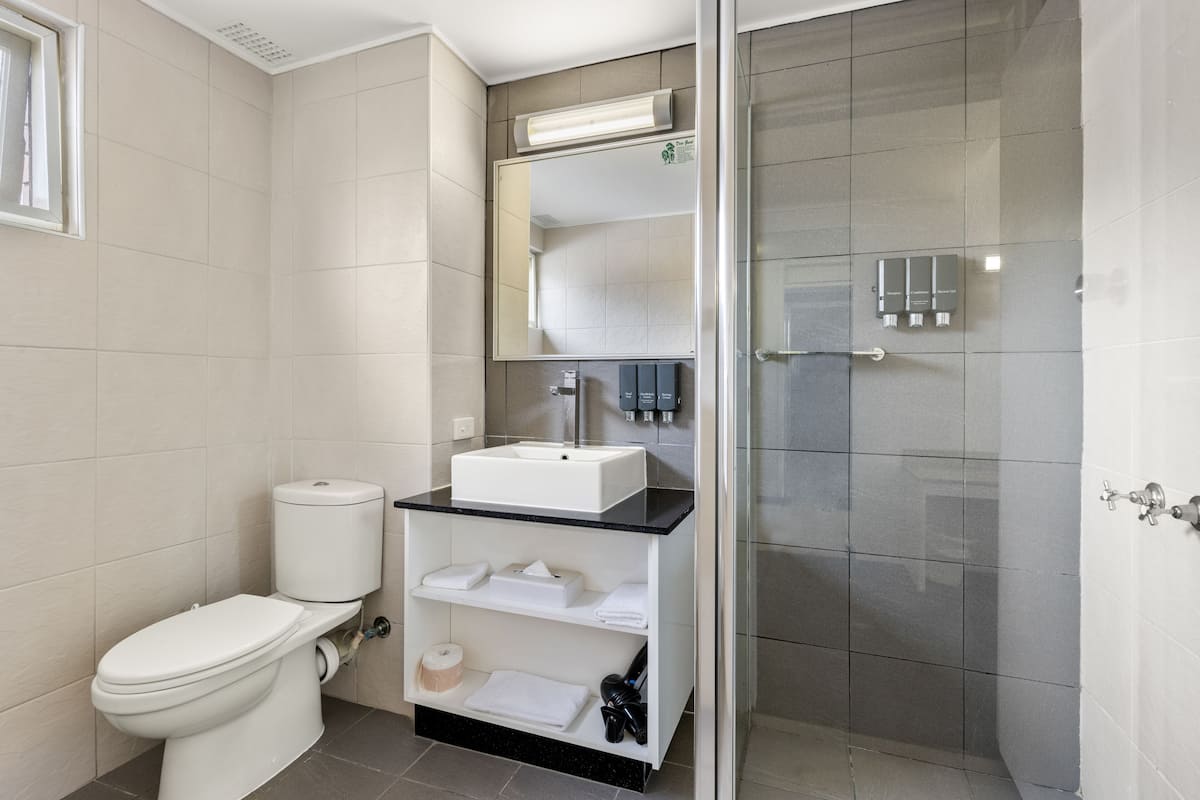 shower, free toiletries, hair dryer, towels