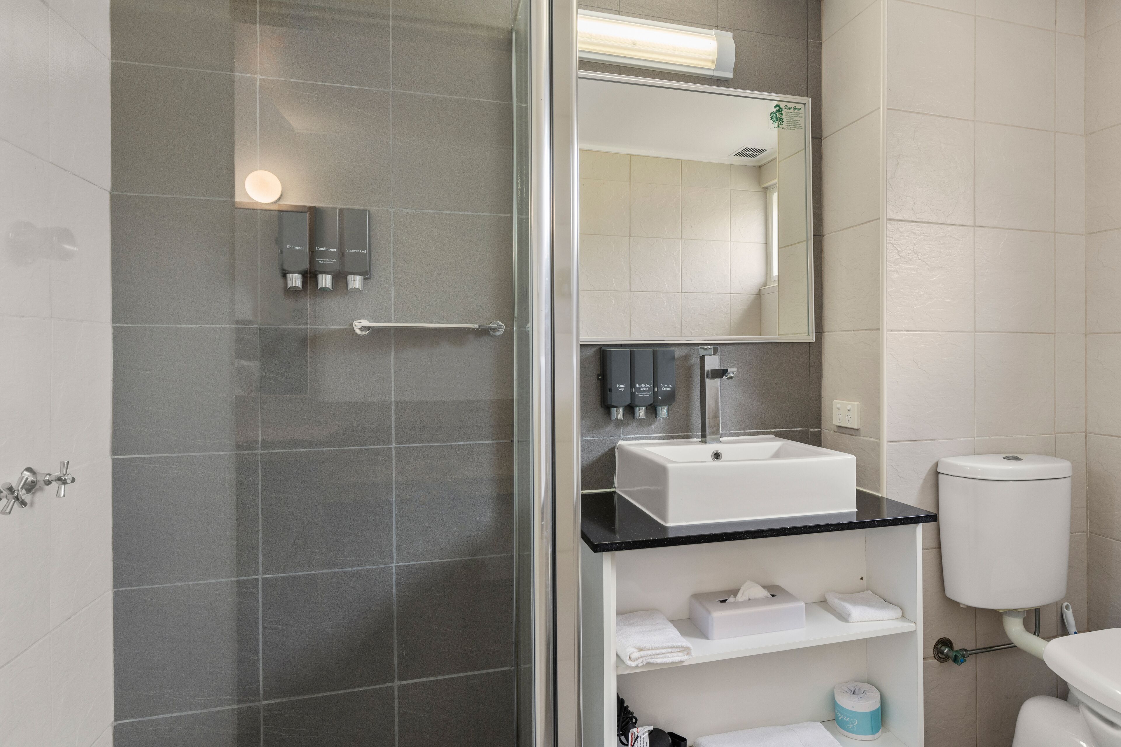 shower, free toiletries, hair dryer, towels