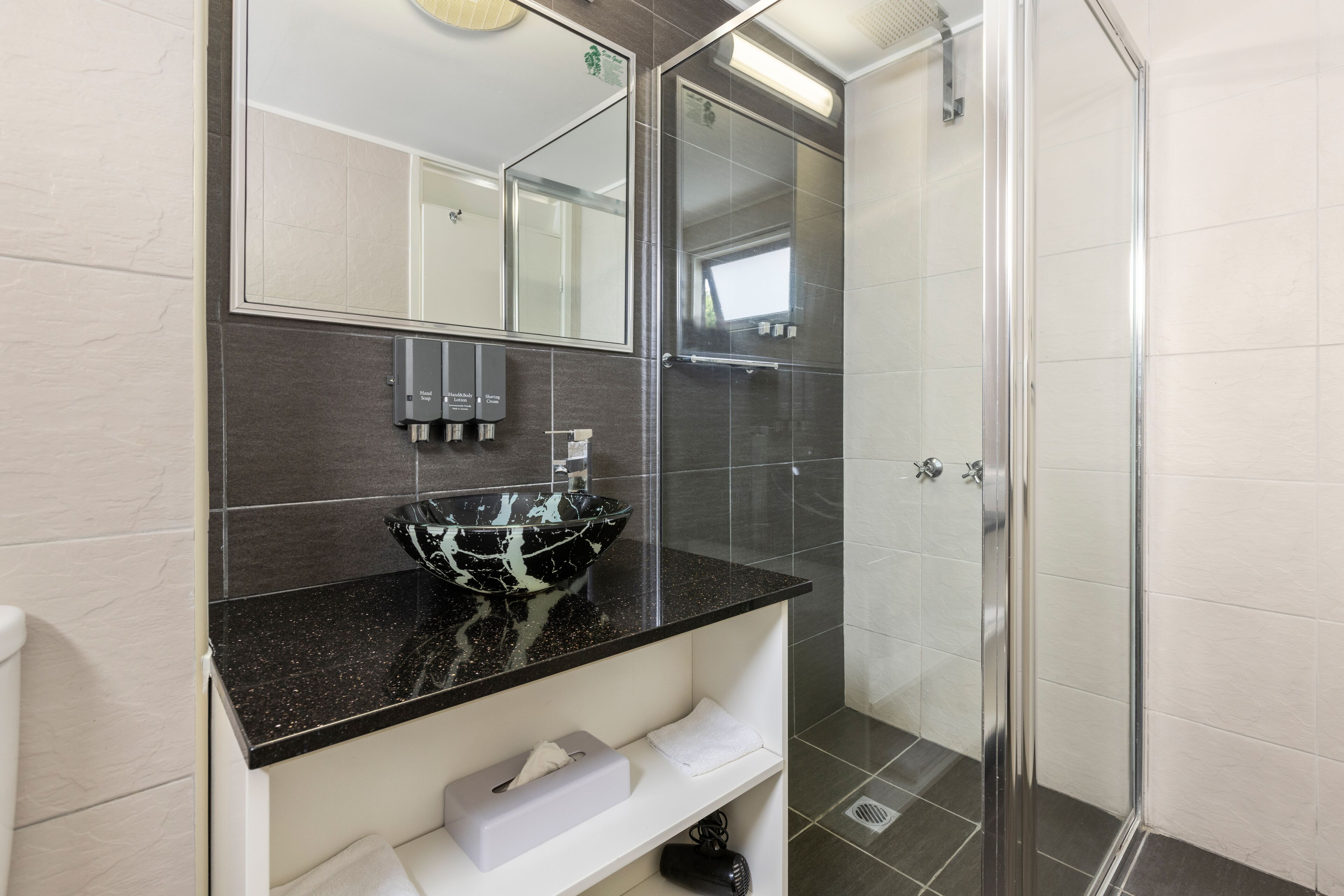 shower, free toiletries, hair dryer, towels