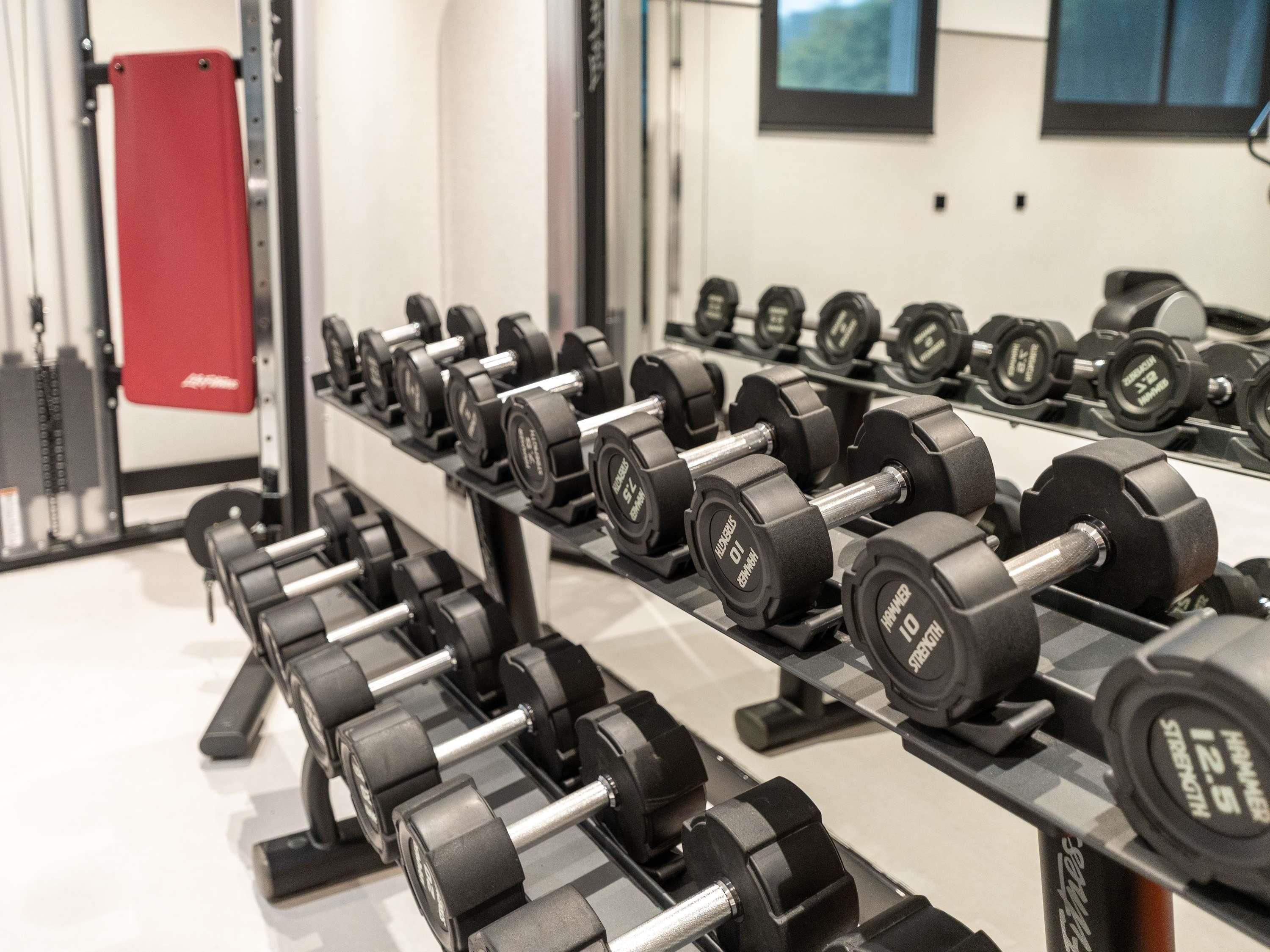 Une salle de sport avec des rangées d’haltères disposés sur des supports.