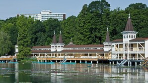 Un hotel con varias edificaciones, un muelle y un lago con nenúfares.