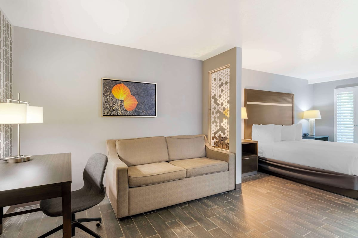 Habitación de hotel con sofá, escritorio, cama y una obra de arte colgada en la pared.