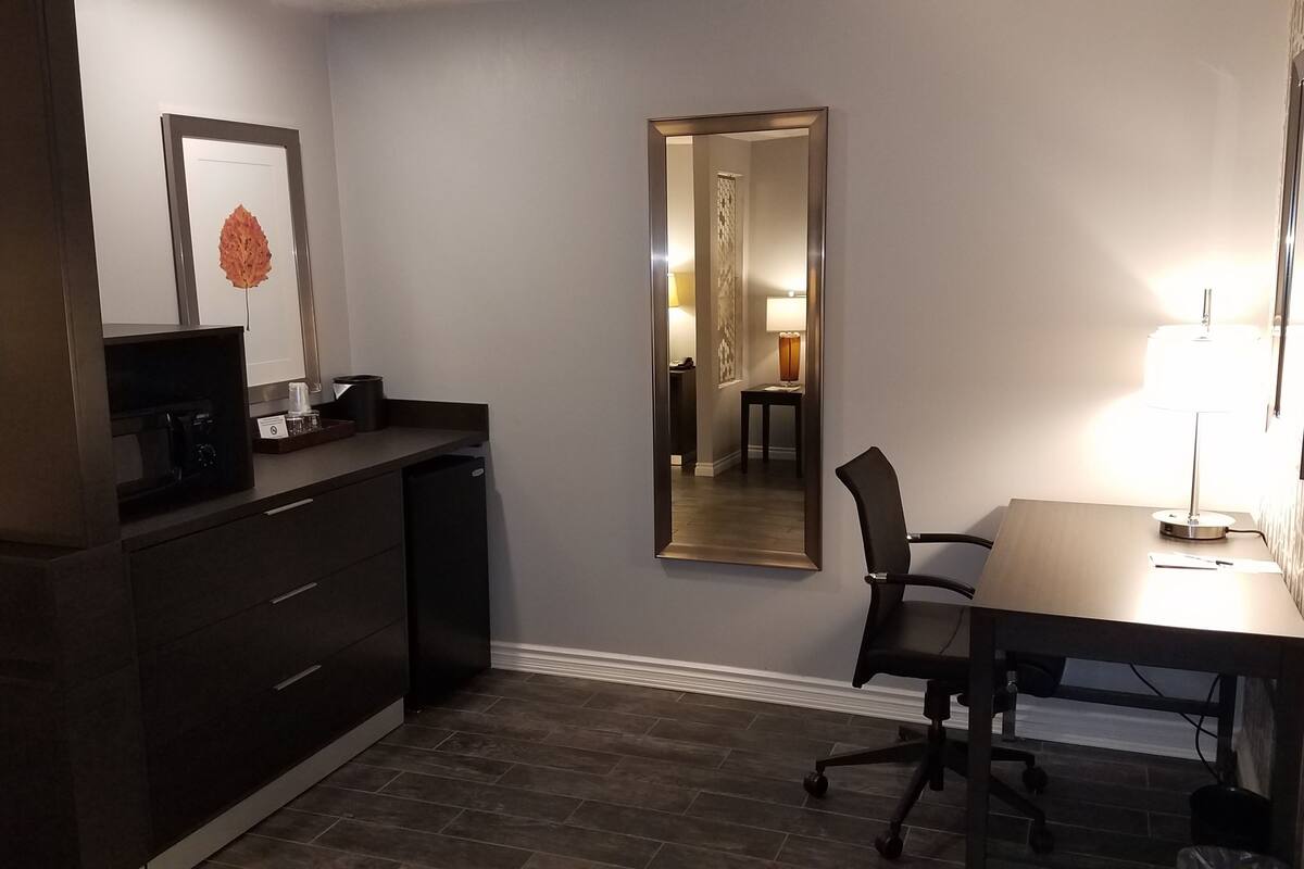 standard room, 1 king bed, non smoking, refrigerator & microwave (pet friendly;with sofabed) | hypo-allergenic bedding, in-room safe, desk, laptop workspace