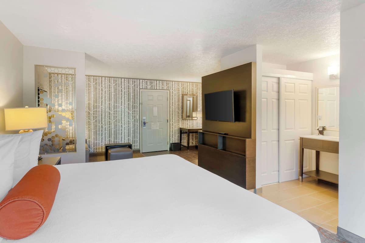 Una habitación de hotel con una cama grande, un escritorio, una silla, un televisor, un espejo y un armario.