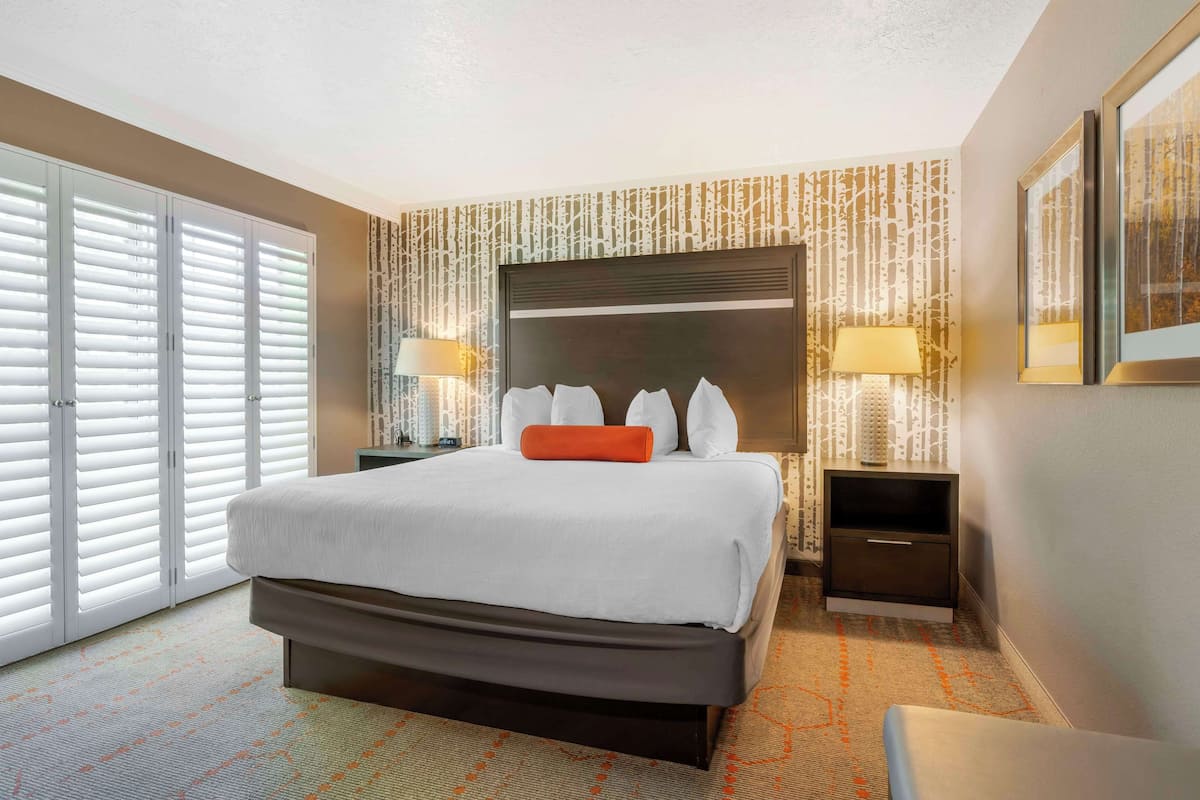 Habitación de hotel con una cama grande, una mesita de noche con lámpara, una silla y una puerta corredera con persianas.
