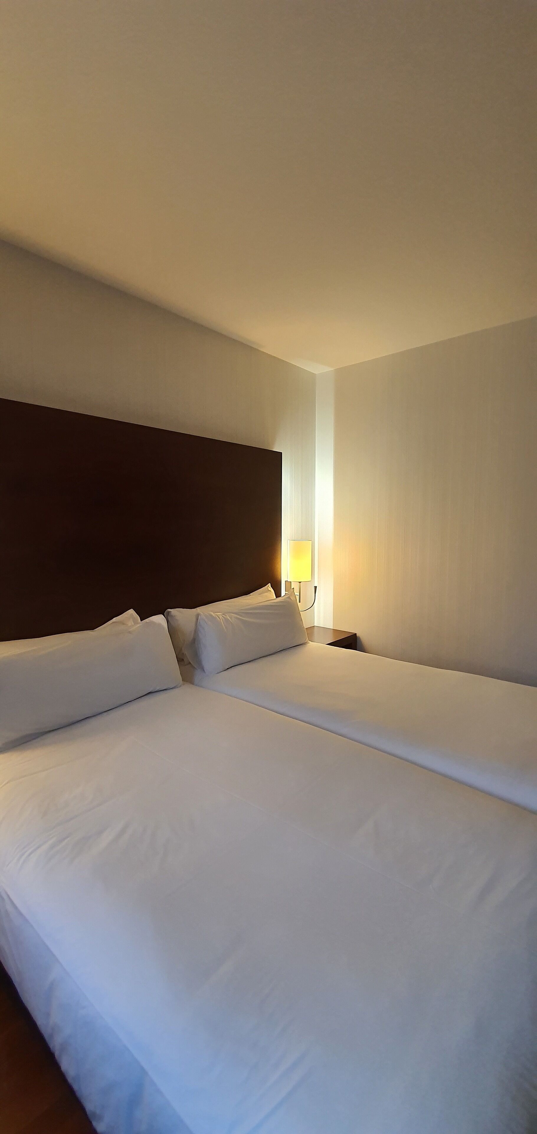 A hotel room with two single beds, a dark headboard, a bedside table with a lamp, and light-colored walls.