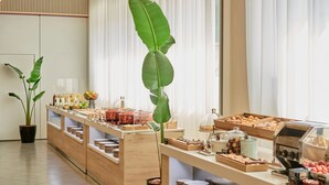 Zona de bufé con diferentes opciones de comida, una planta en maceta y una máquina de café.