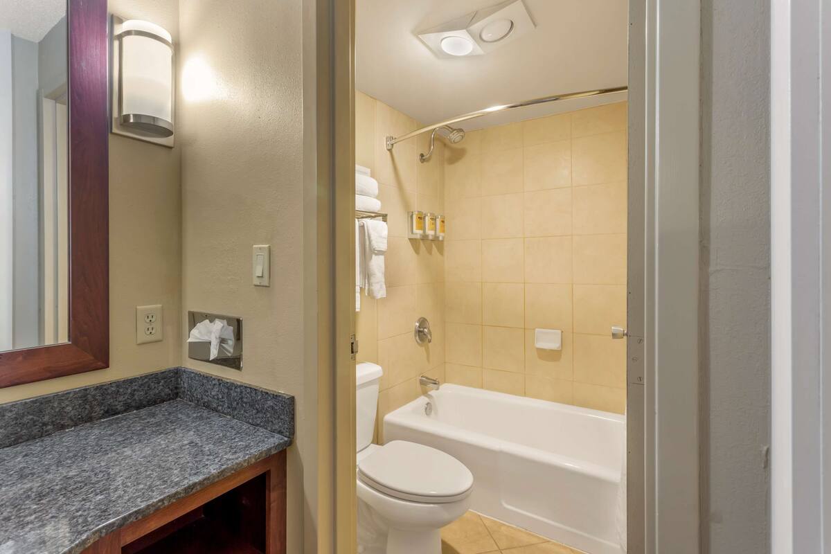 combined shower/bathtub, free toiletries, hair dryer, towels