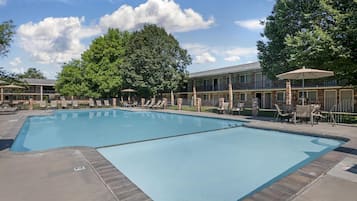 Seasonal outdoor pool, pool umbrellas, sun loungers