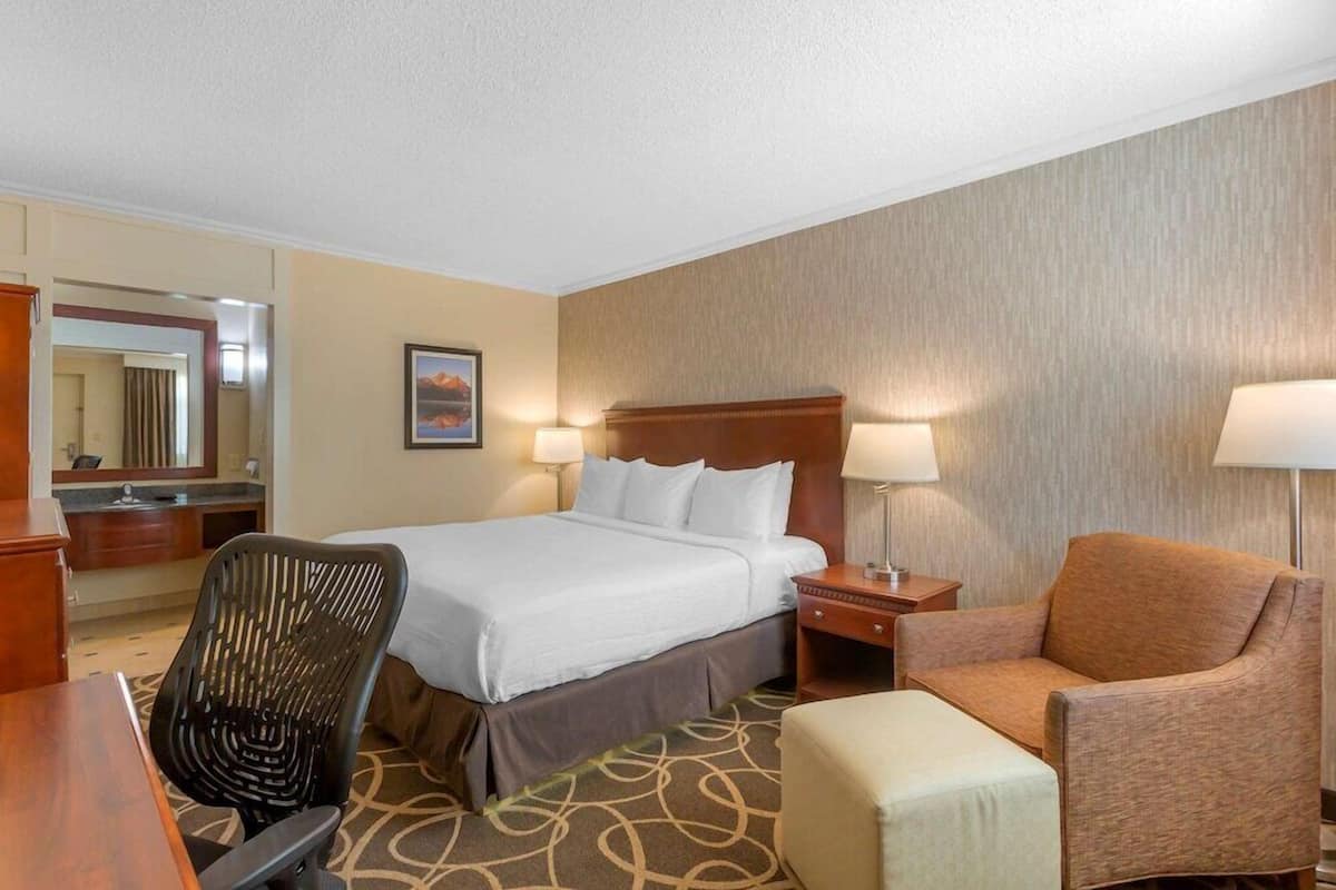 A hotel room with a bed, a desk, a chair, a sofa, and a nightstand with lamps.