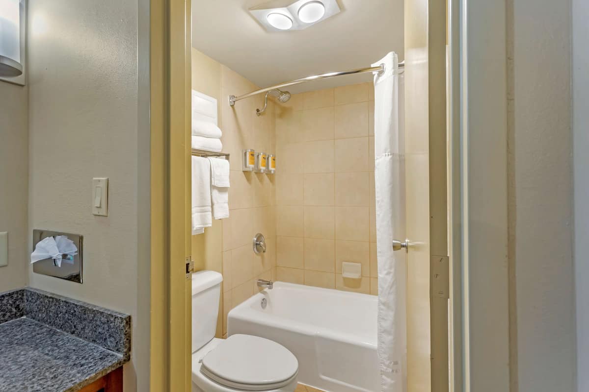 combined shower/bathtub, free toiletries, hair dryer, towels