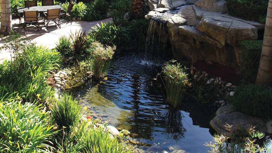 Embassy Suites by Hilton Lompoc Central Coast