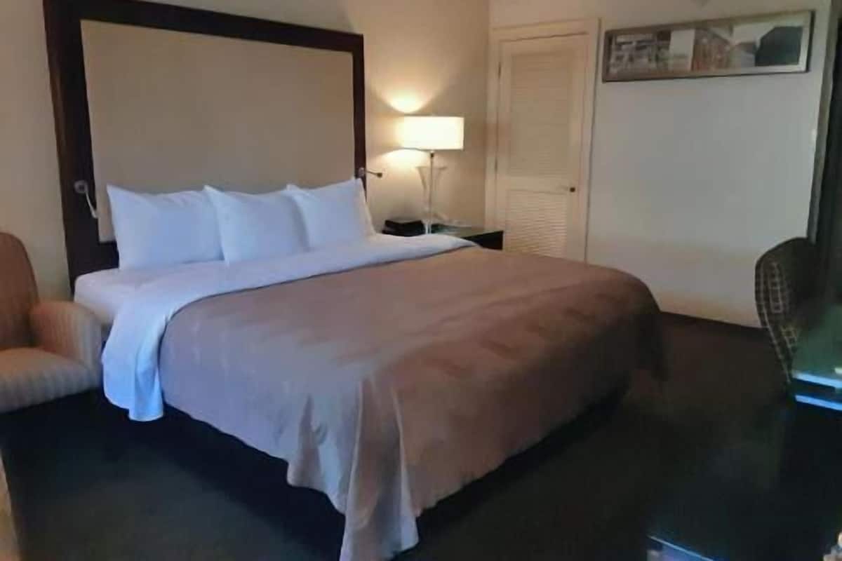Habitació d'hotel amb llit, una petita taula de nit, una làmpada, una cadira i una porta.