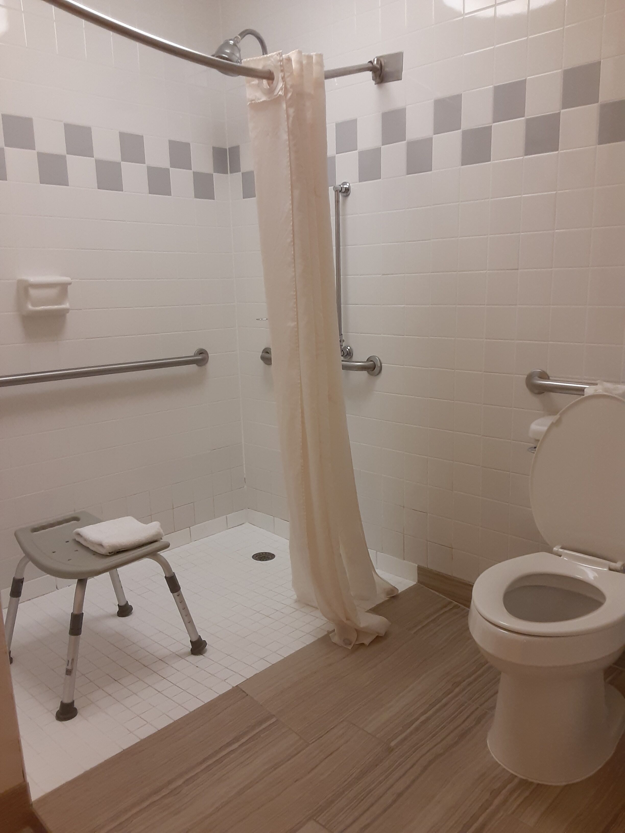 A bathroom with a shower, toilet, grab bars, and a wheelchair-accessible bench.