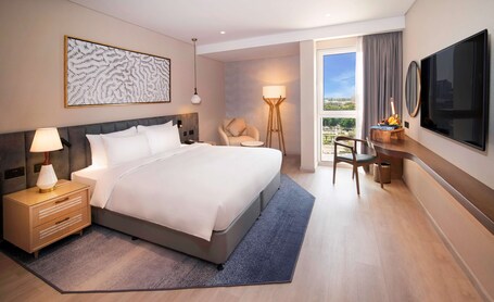 Radisson Blu Hotel Resort, Abu Dhabi Corniche - Image 32