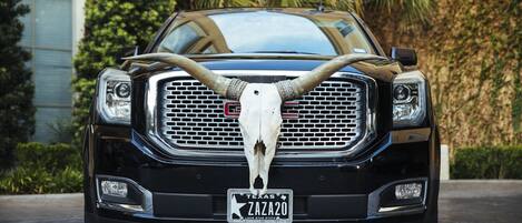 A black vehicle with a large white bull skull mounted on the front grille.