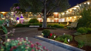 Pátio de hotel à noite, com uma árvore grande, bancos e caminhos bem iluminados.