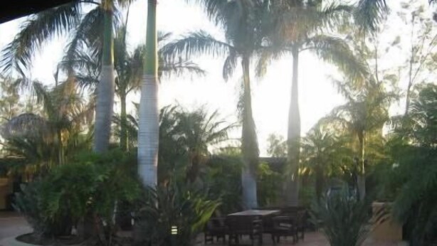 Garden - Goondiwindi Motel (Goondiwindi)