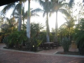 Taman