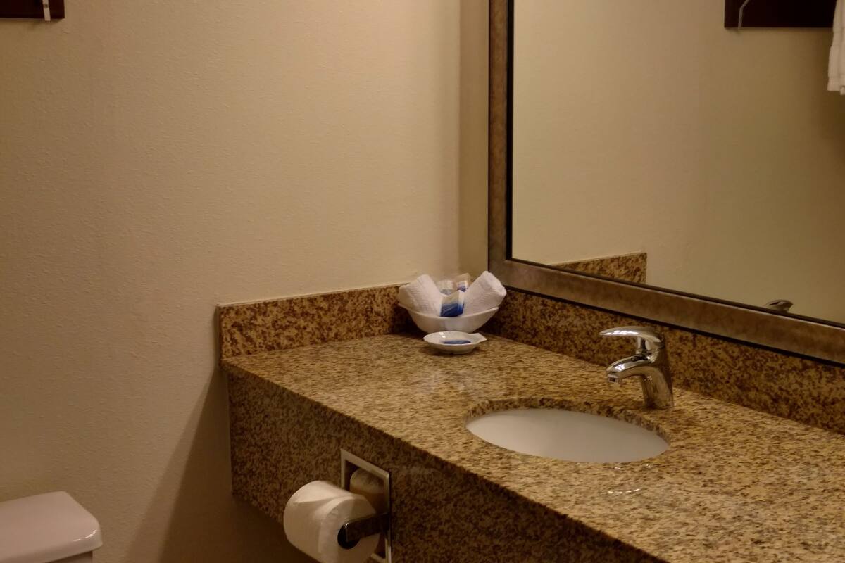 standard room, 1 king bed, non smoking, refrigerator & microwave | bathroom | free toiletries, hair dryer, towels, soap