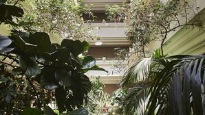 A multi-level atrium with a glass ceiling, allowing natural light to illuminate the space. - Hotel Silken Ciudad de Vitoria (Vitoria-Gasteiz)