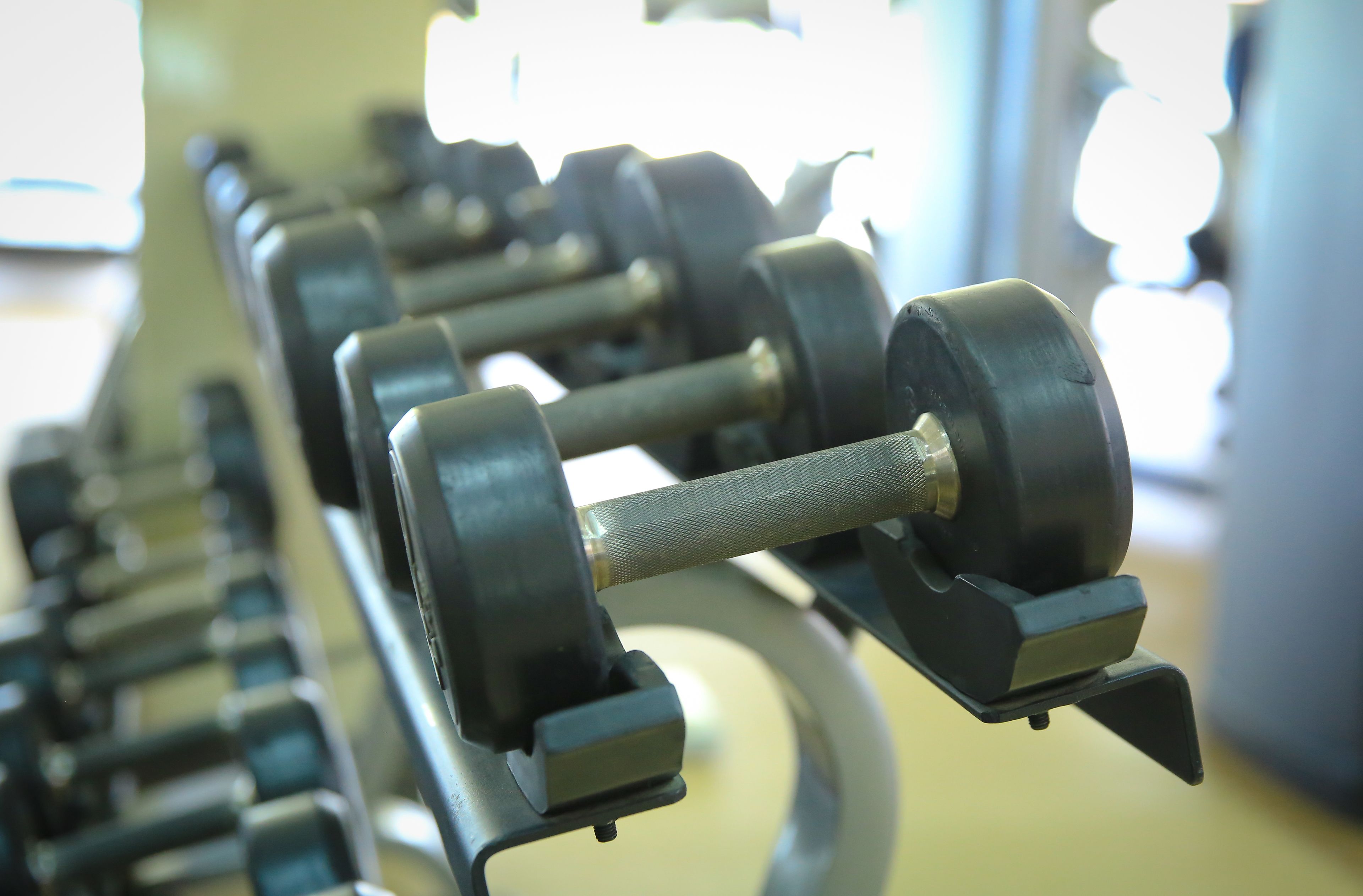 Eine Reihe von Hanteln an einem Gewichtsständer in einem Fitnessstudio.