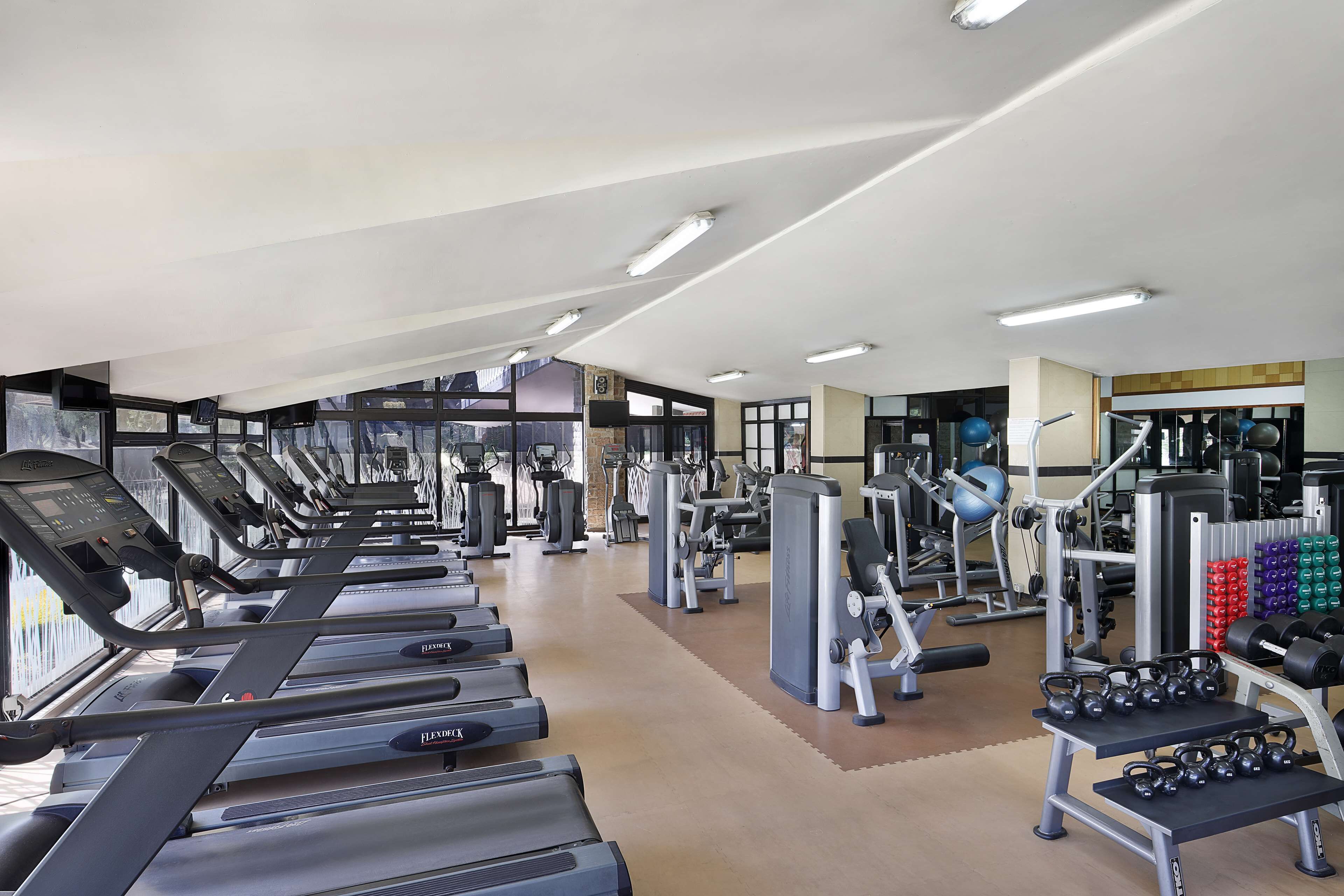 A gym with treadmills, weight machines, and free weights.