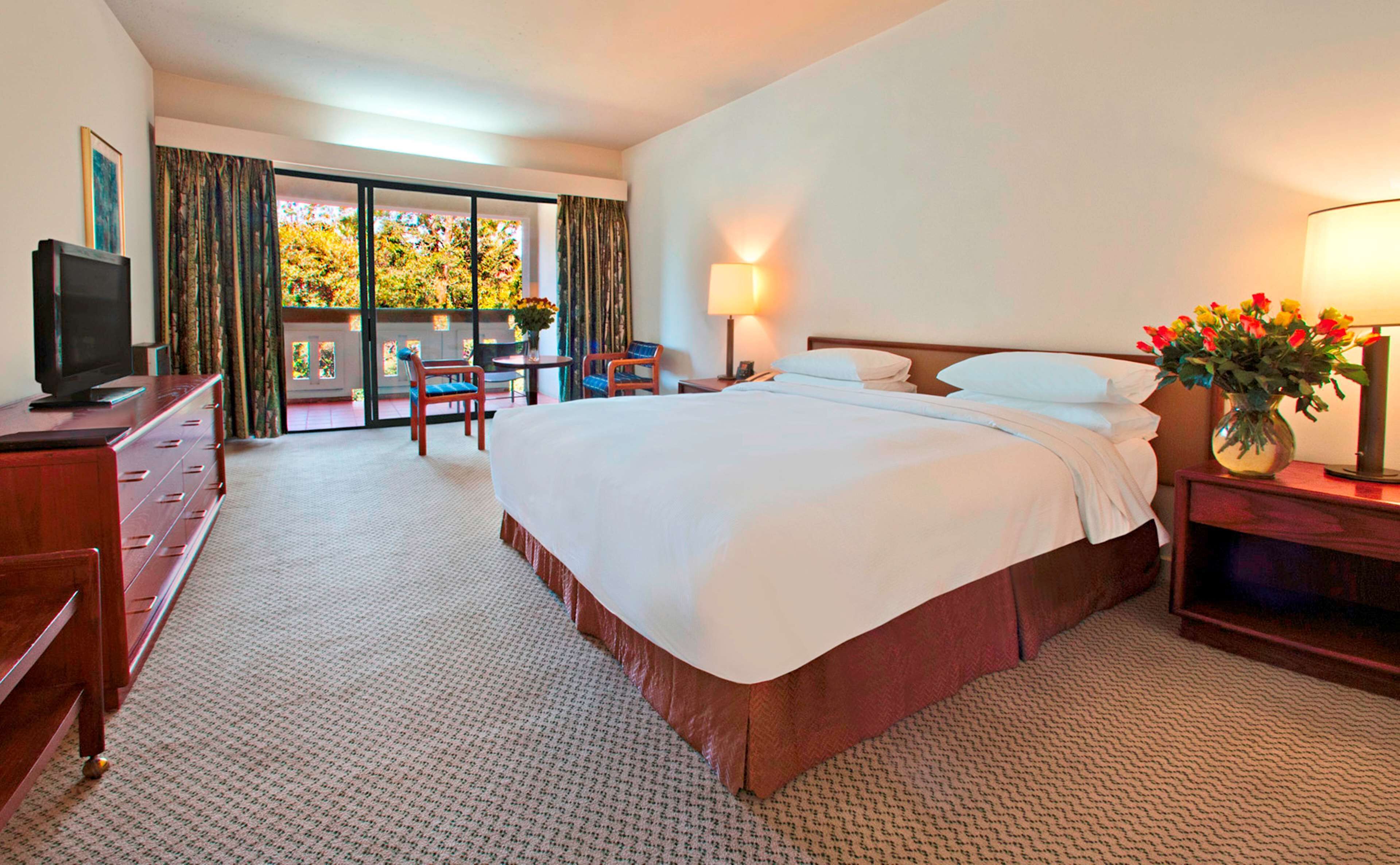 A hotel room with a large bed, a desk, a television, a chair, a lamp, and a view of trees through the window.