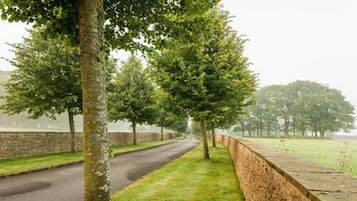 A rural road flanked by trees and stone walls.