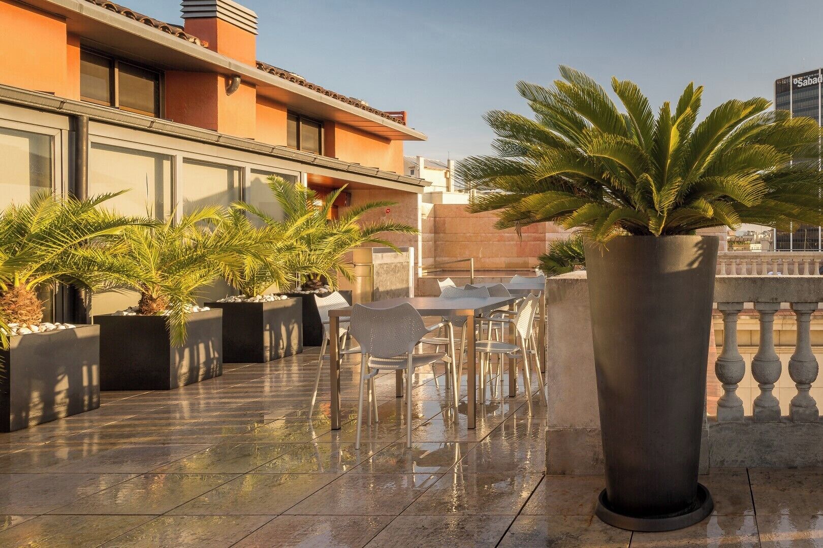 A rooftop terrace with outdoor seating, palm trees, and a building in the background.