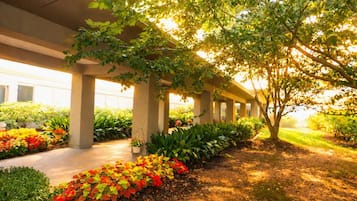 A covered outdoor area with a row of columns, potted plants, and a tree providing shade.