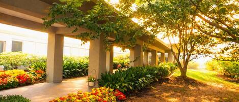 A covered outdoor area with a row of columns, potted plants, and a tree providing shade.