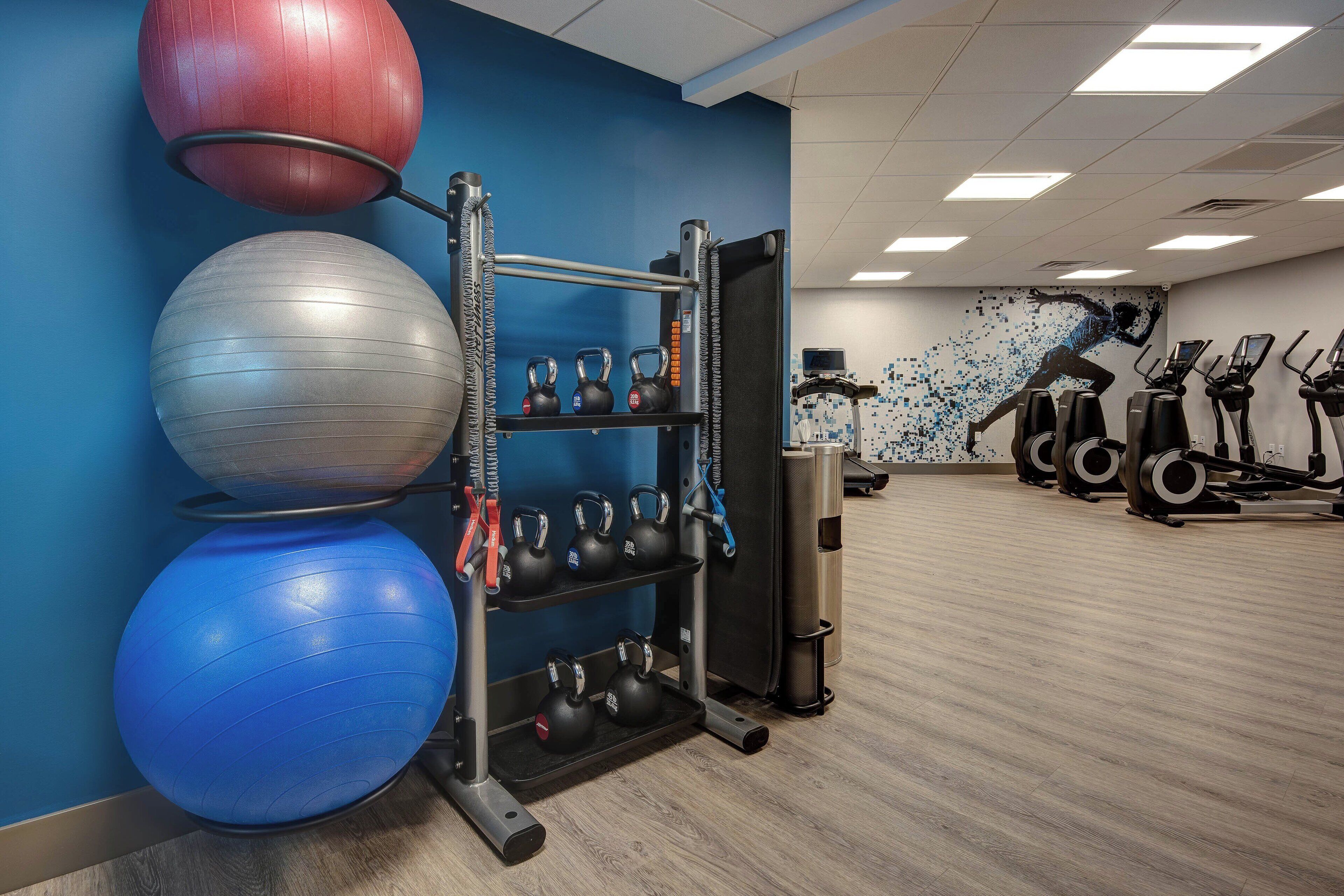 A gym with exercise equipment including kettlebells, a squat rack, and treadmills.
