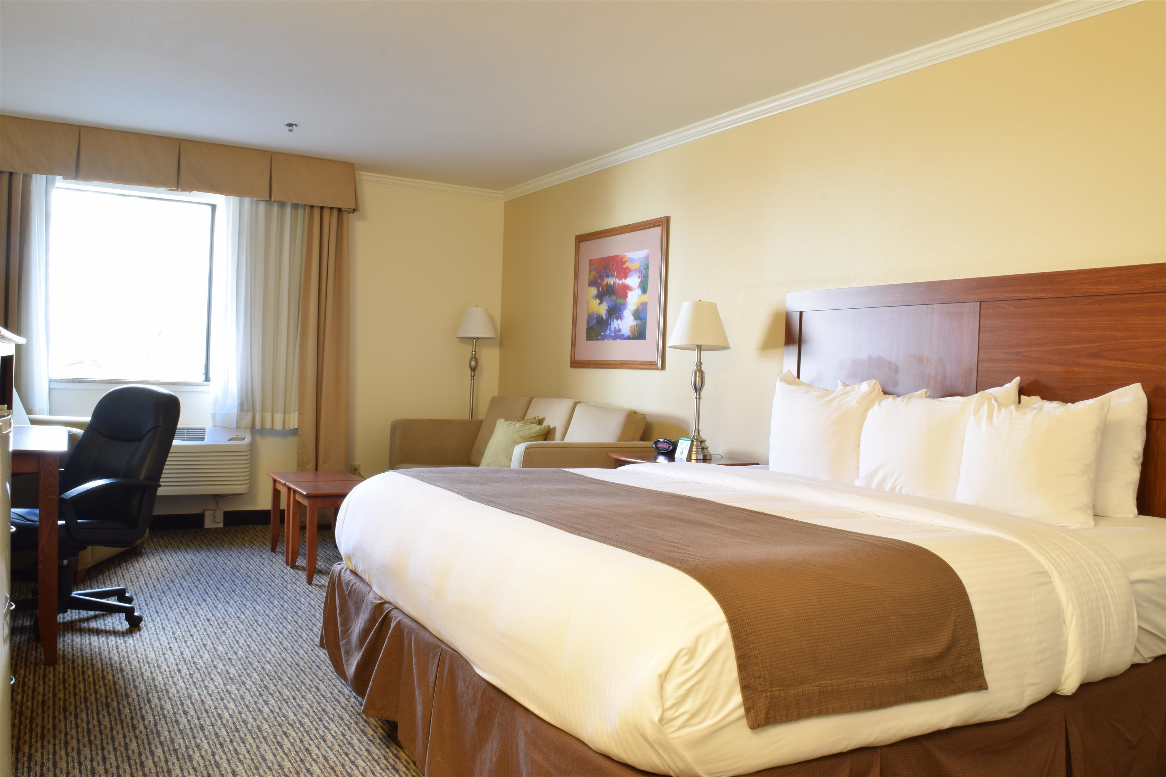 premium bedding, pillow-top beds, desk, blackout curtains