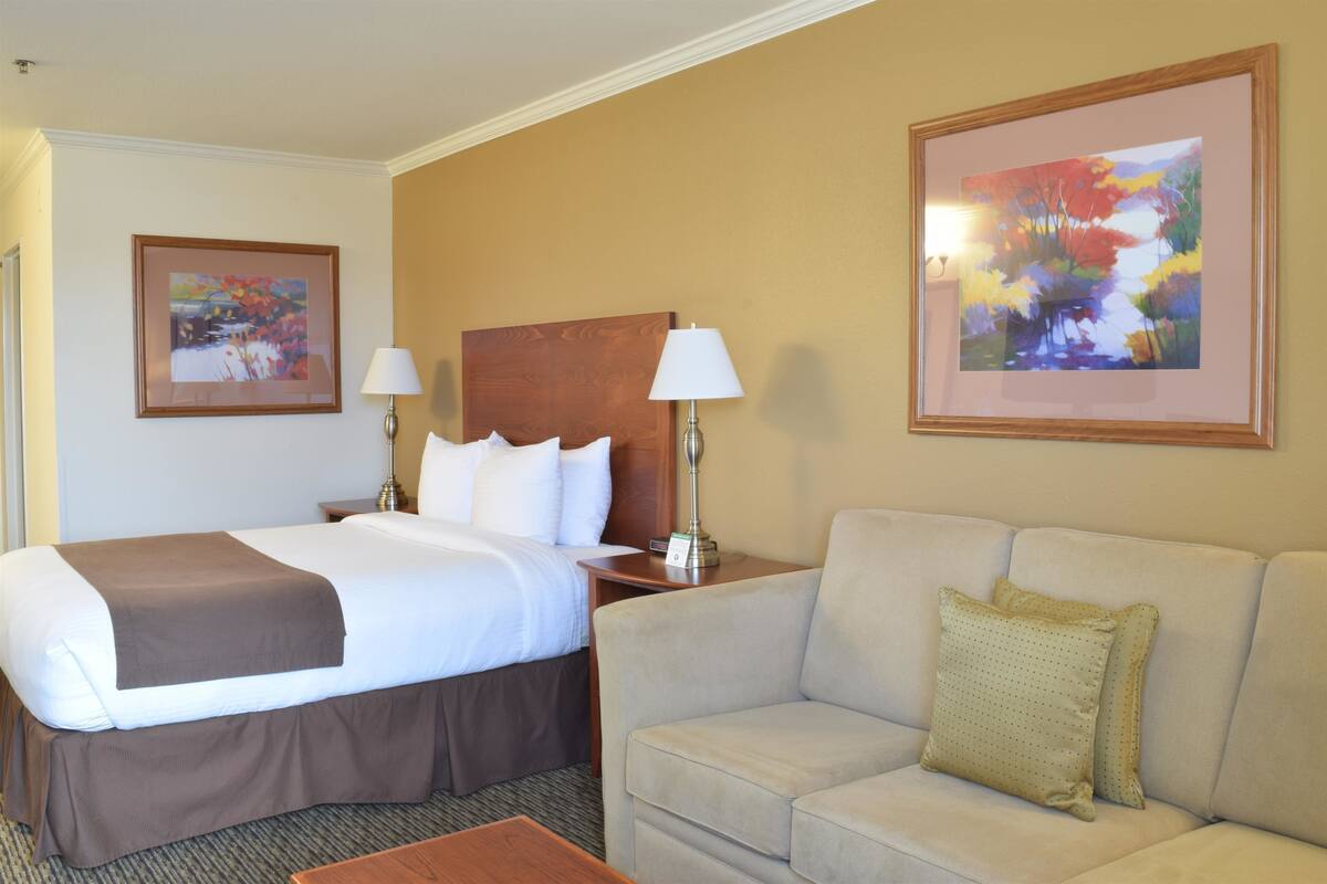 A hotel room with a bed, a sofa, two lamps, and two framed paintings on the walls.