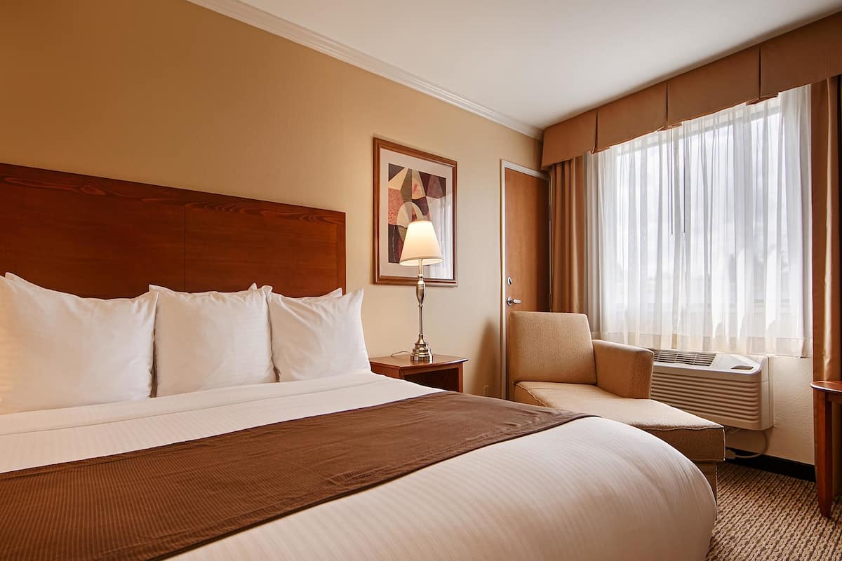 Ropa de cama de alta calidad, colchones con pillow-top y escritorio