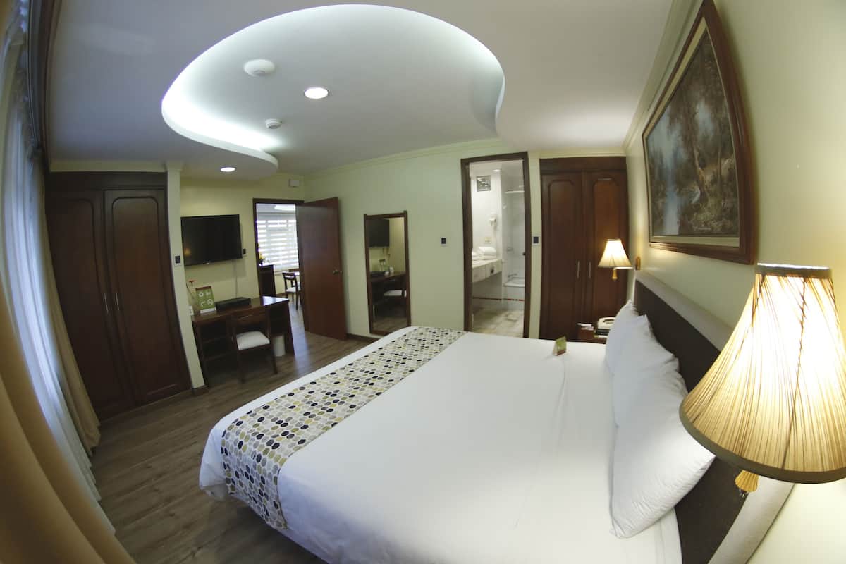 Une chambre d’hôtel comprenant un lit, un bureau, une chaise, une télévision, un miroir et une porte donnant accès à une salle de bain.