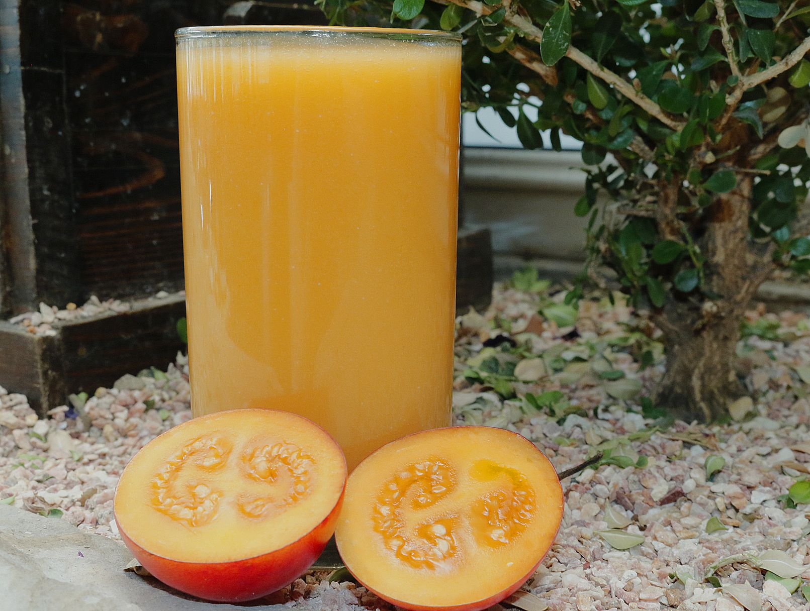 Makanan dan minuman