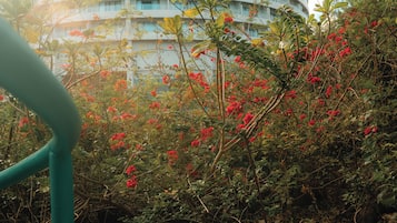 Un exuberante jardín con flores rojas y un edificio al fondo.