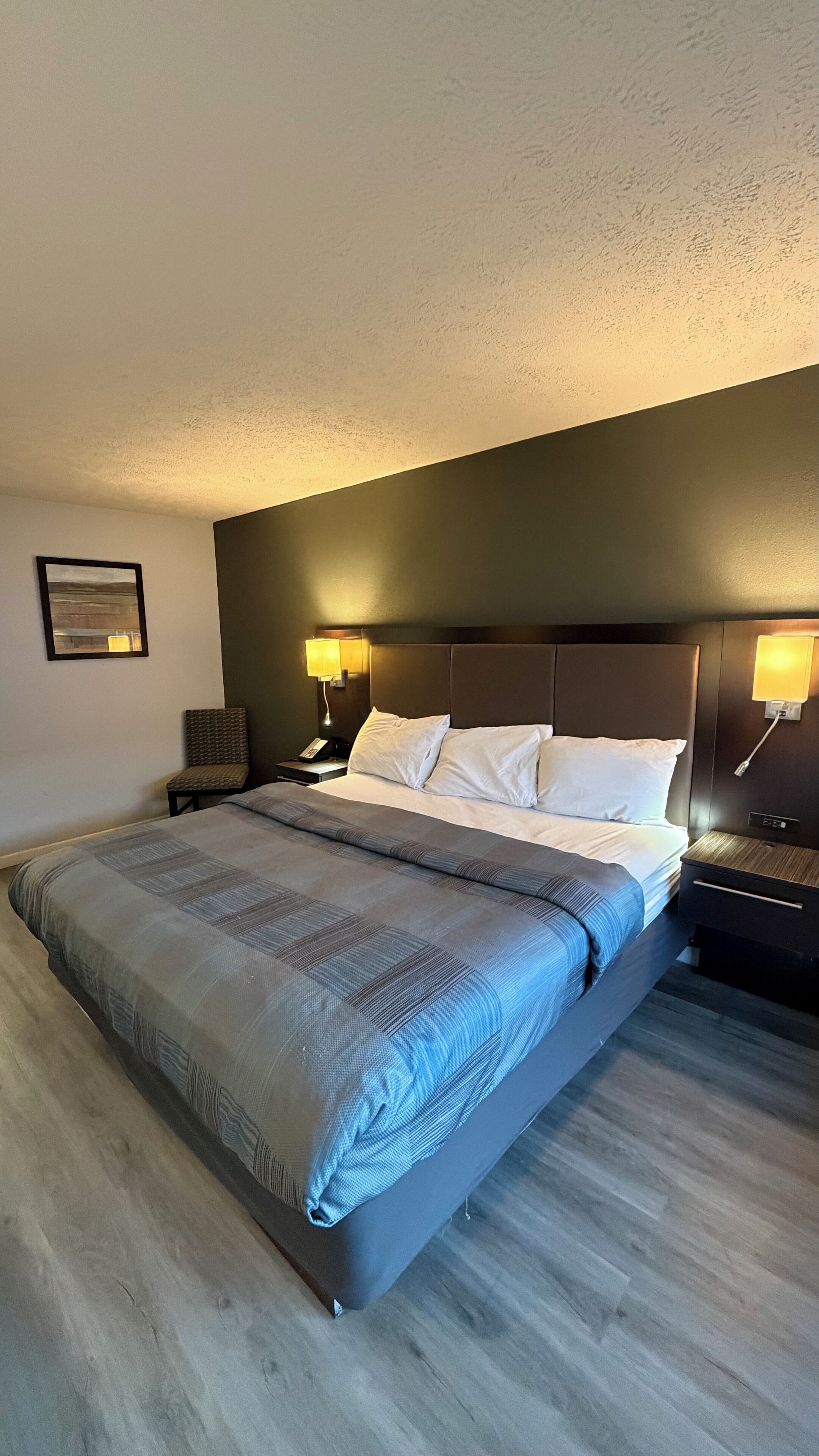 Standard Room, 1 King Bed, Non Smoking | Premium bedding, Select Comfort beds, soundproofing, iron/ironing board