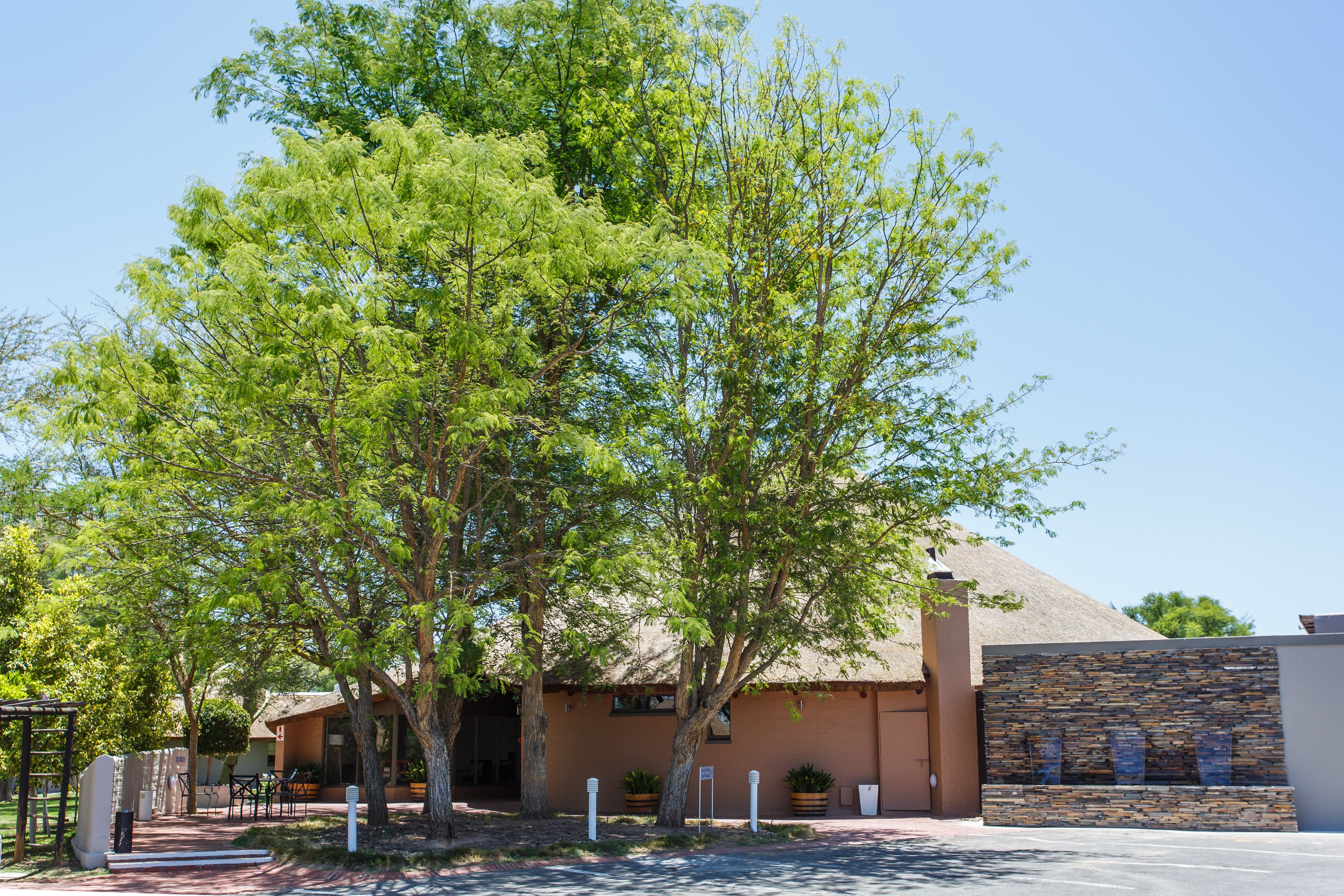 A building with a stone facade, surrounded by trees and a patio area with outdoor seating.