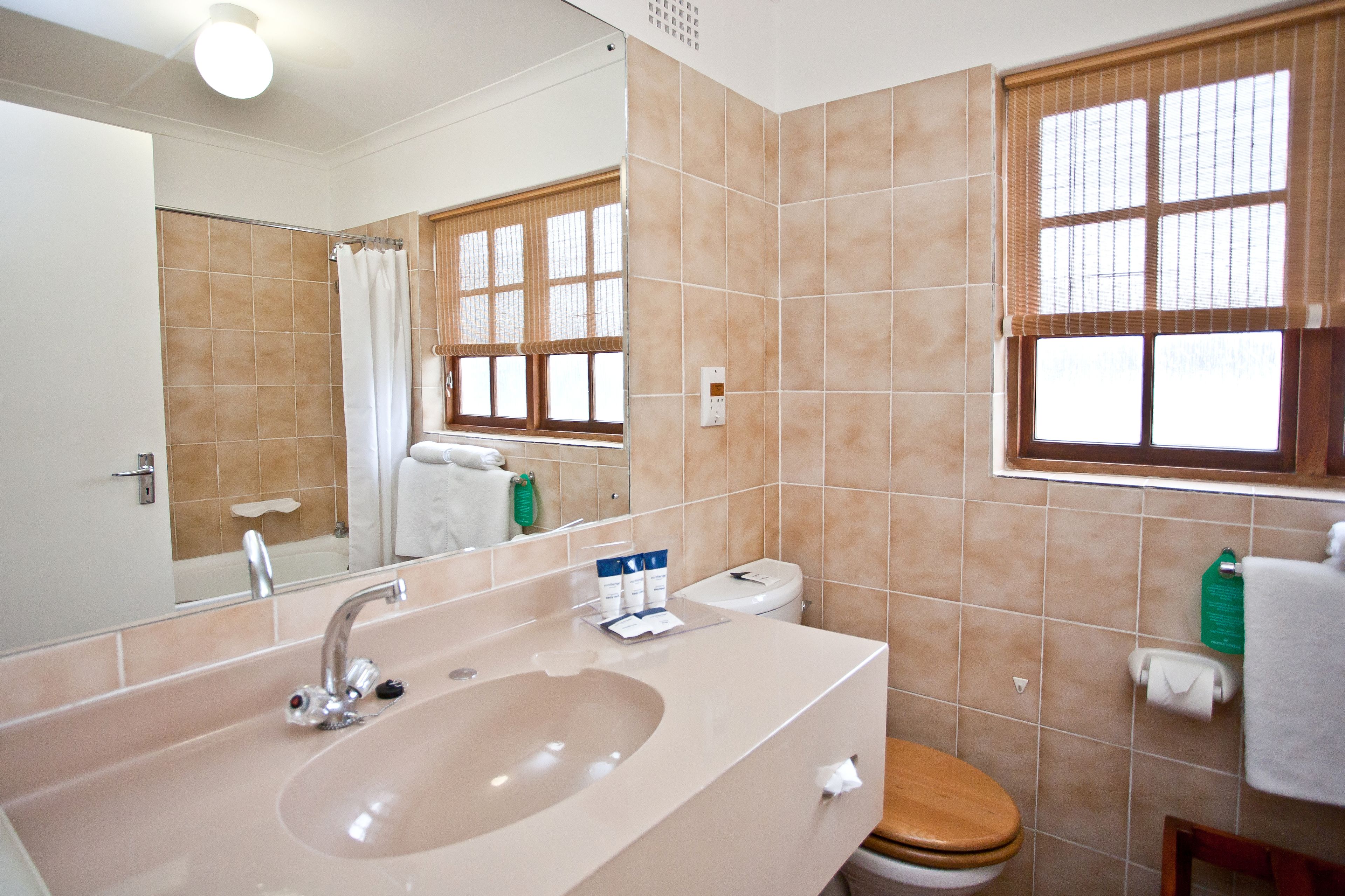 A bathroom with a beige sink, a toilet, and a mirror.