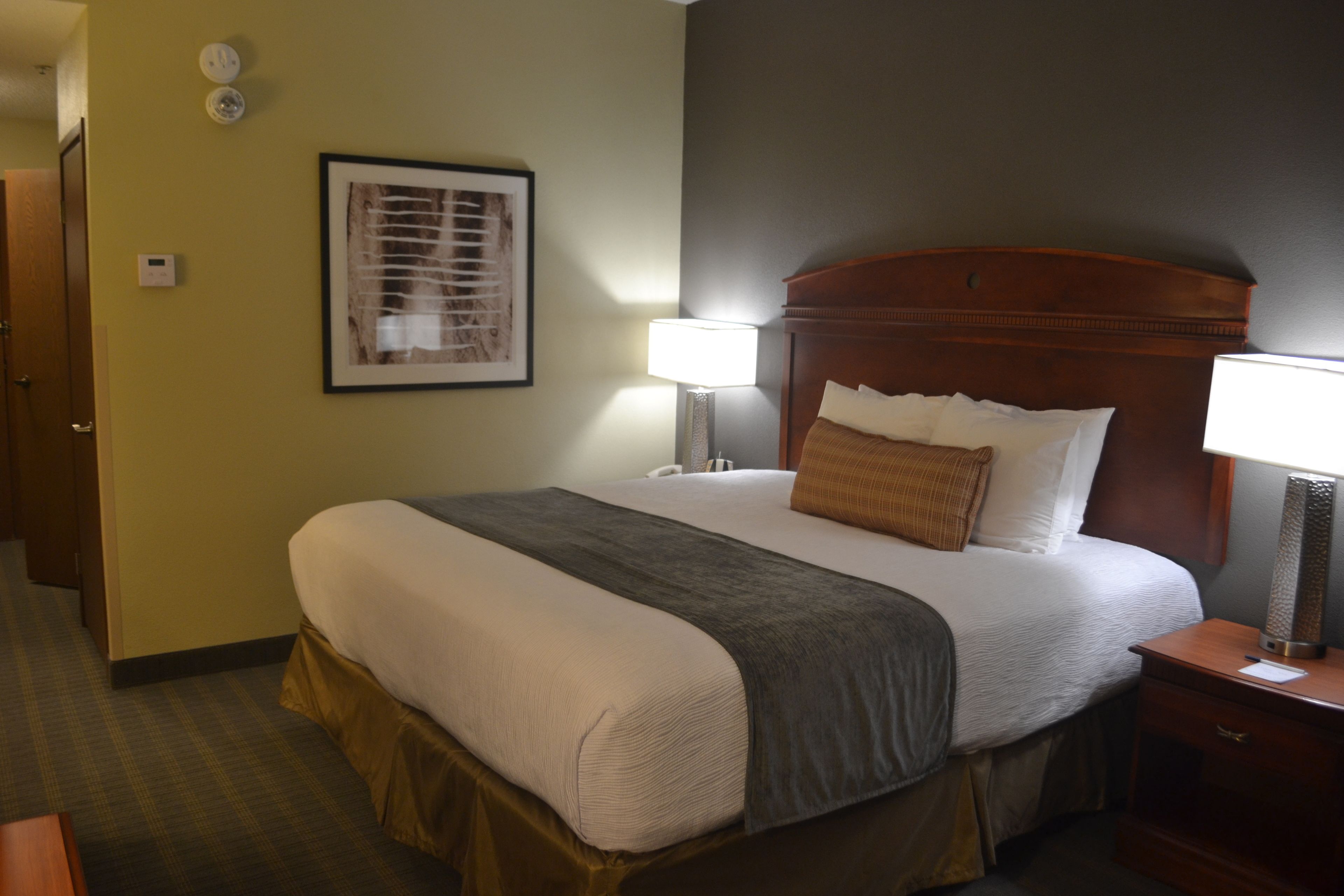 standard room, 1 queen bed with sofa bed, accessible, bathtub (with sofabed) | hypo-allergenic bedding, in-room safe, desk, laptop workspace