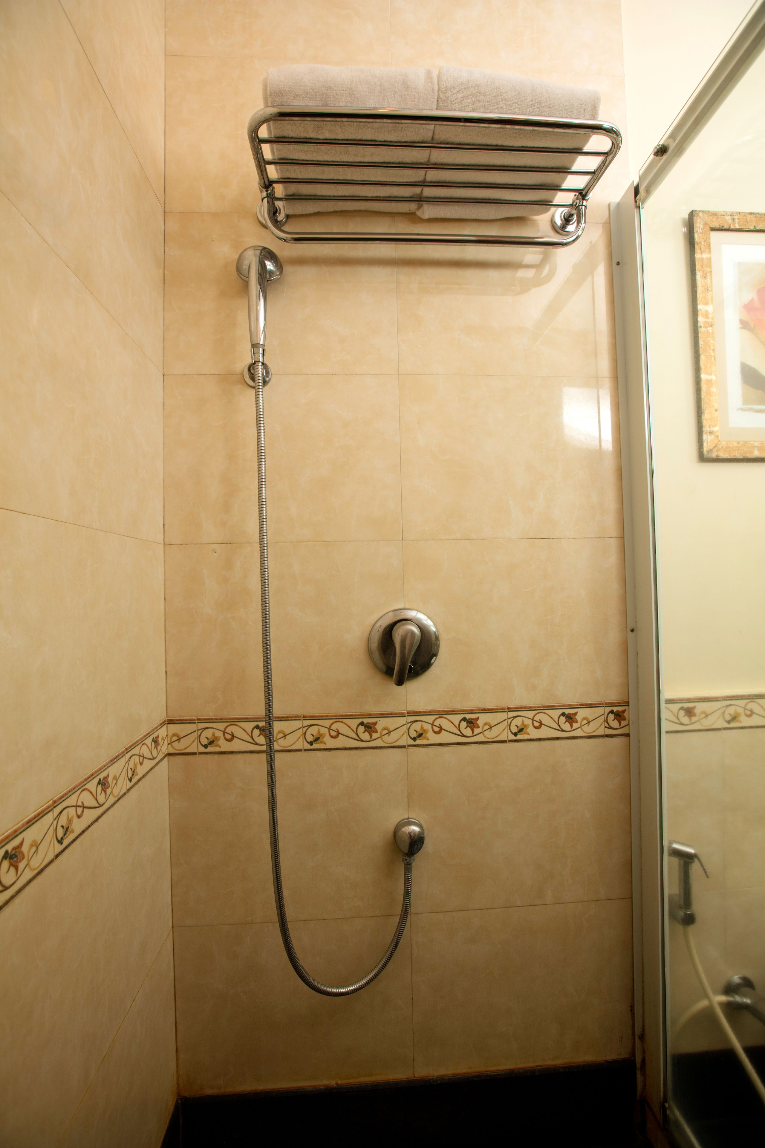 A shower with a towel rack, a showerhead, and a control knob.